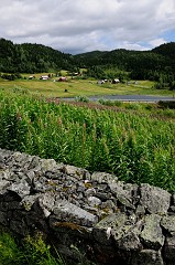 292_DSC2194