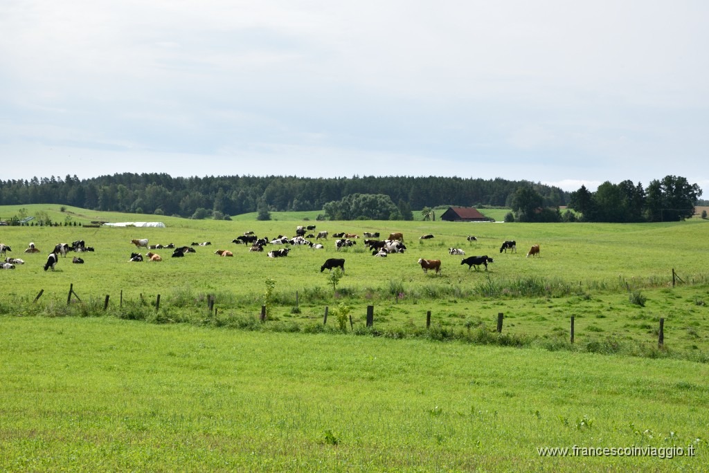 327DSC_1599.JPG