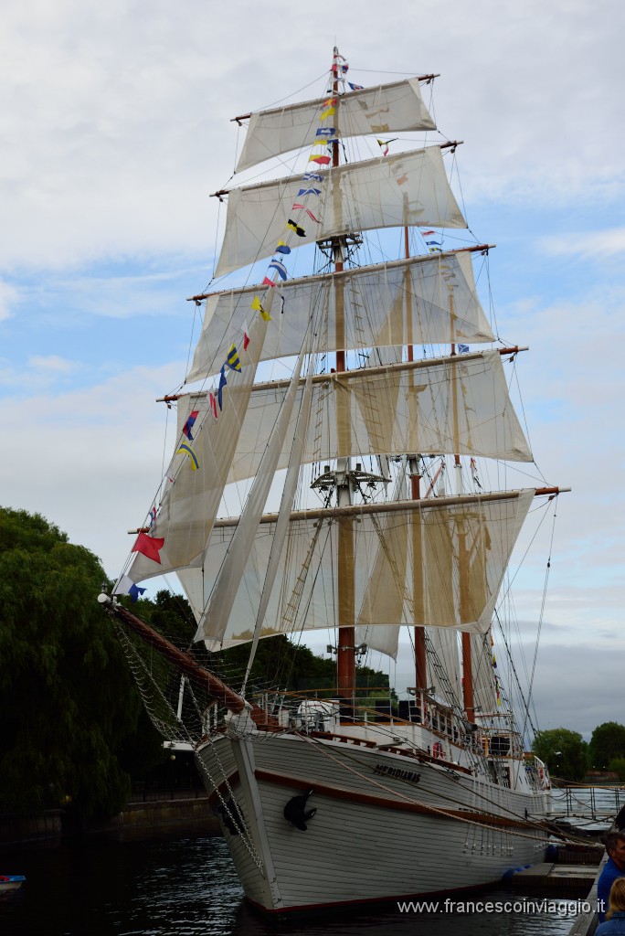 1199DSC_2932.JPG