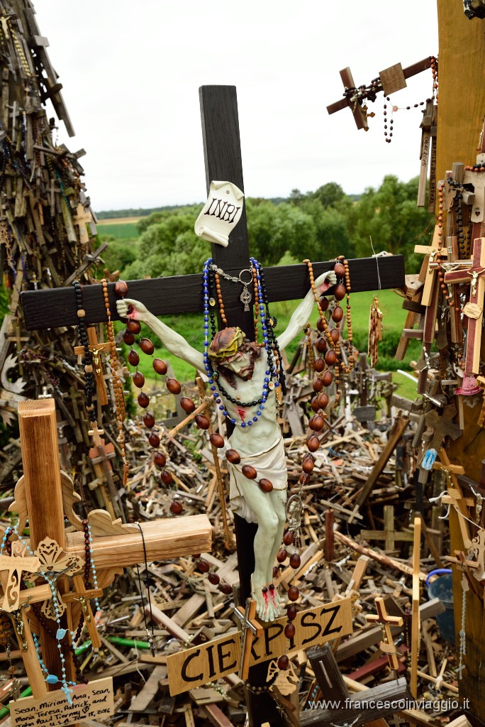 1082DSC_2754.JPG