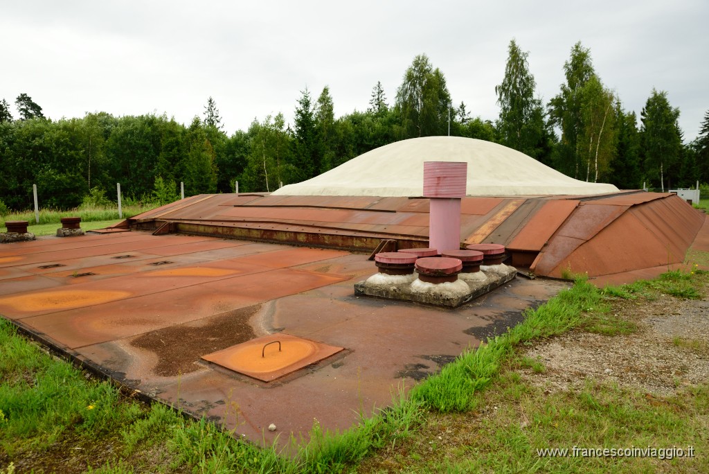 1141DSC_2833.JPG