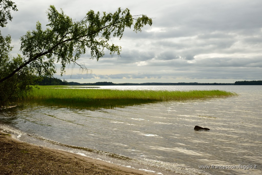 1190DSC_2914.JPG