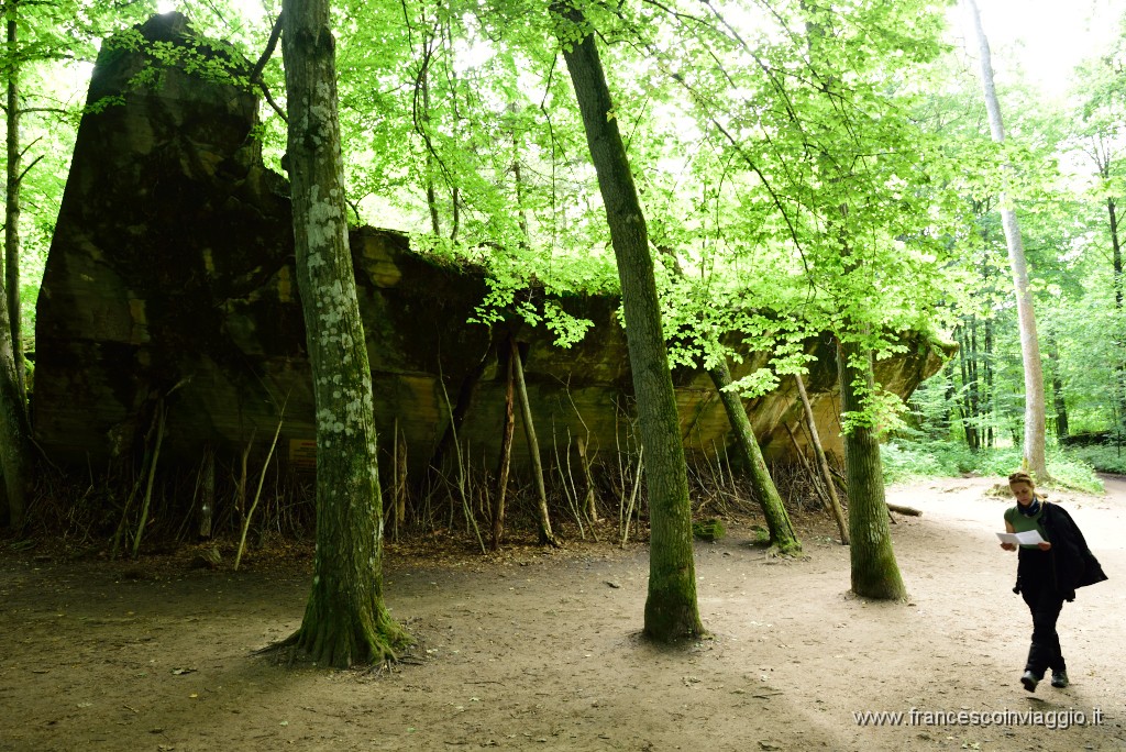 255DSC_1482.JPG