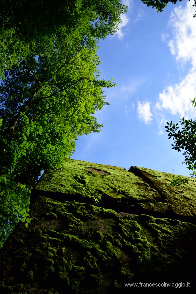 272DSC_1513.JPG