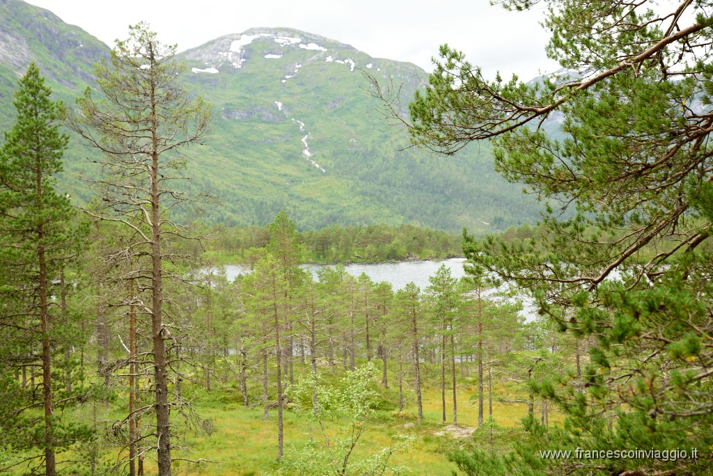 DSC_3127.JPG