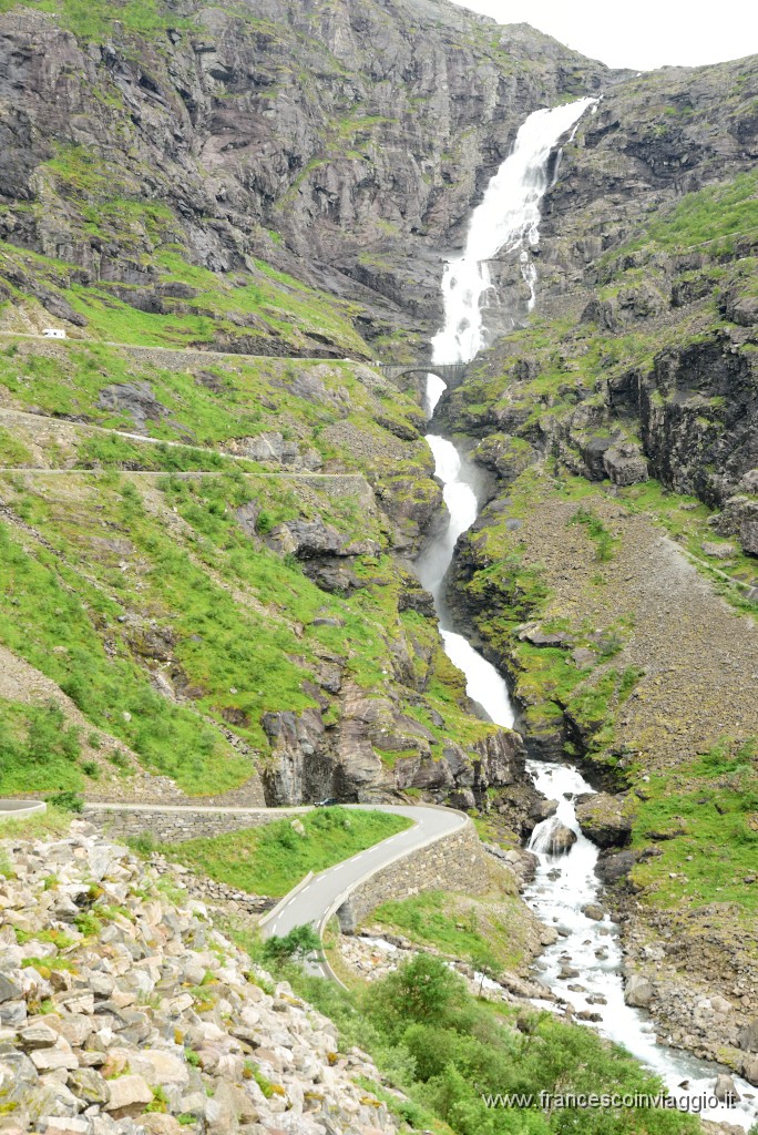 DSC_3539.JPG