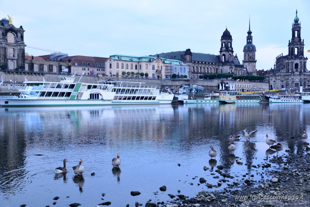 DSC_0431.JPG