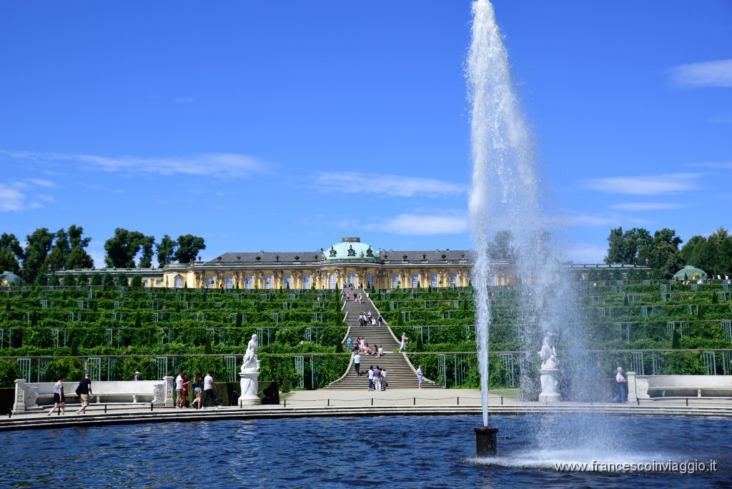 DSC_0772.JPG