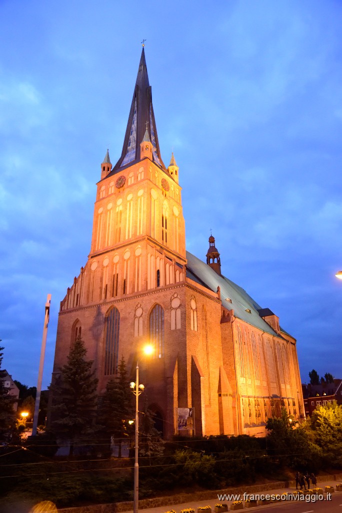 DSC_7203.JPG
