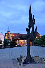 DSC_7196