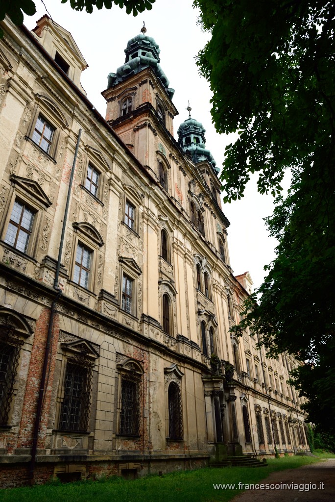 DSC_7238.JPG