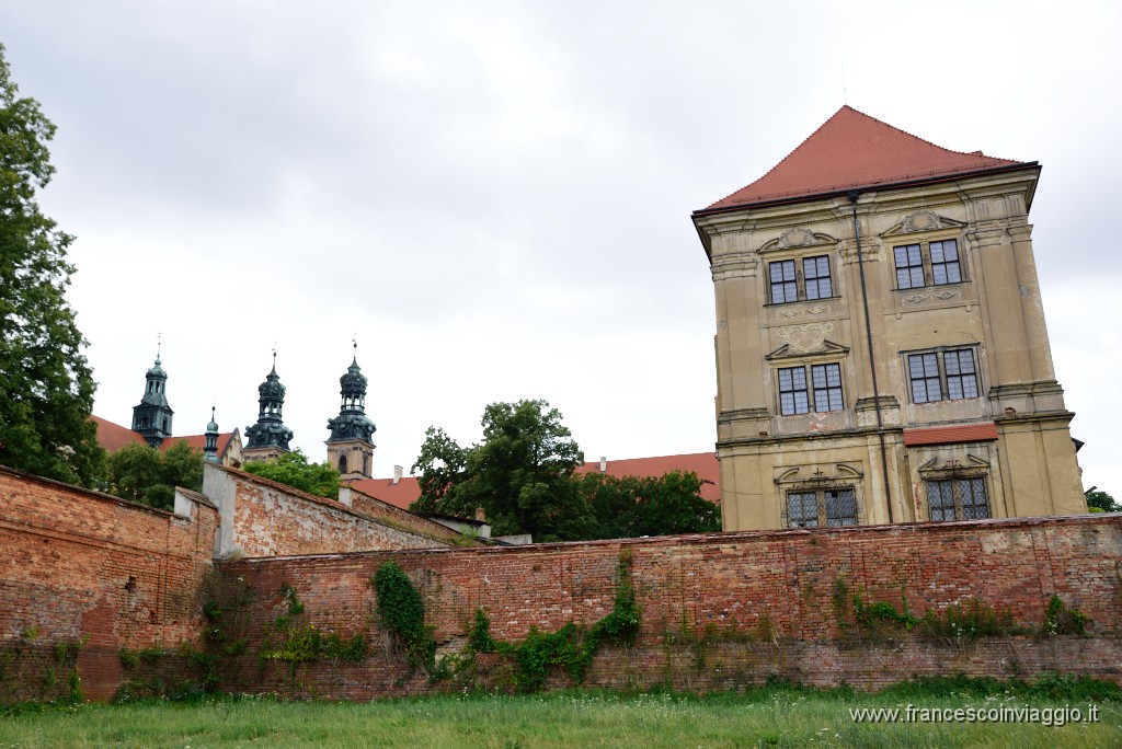 DSC_7252.JPG