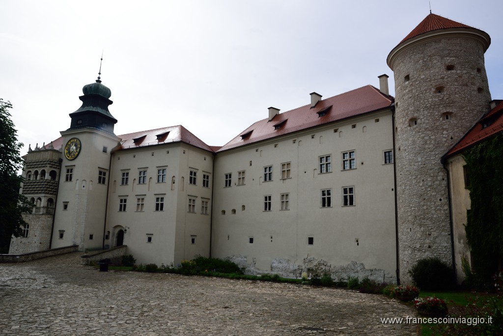 DSC_7768.JPG