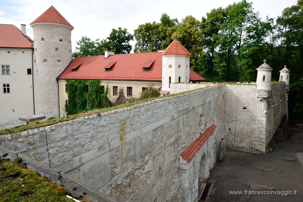 DSC_7783.JPG