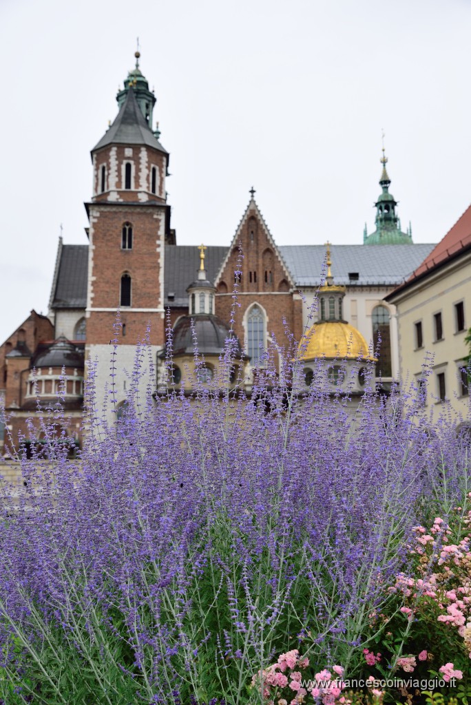 DSC_8112.JPG