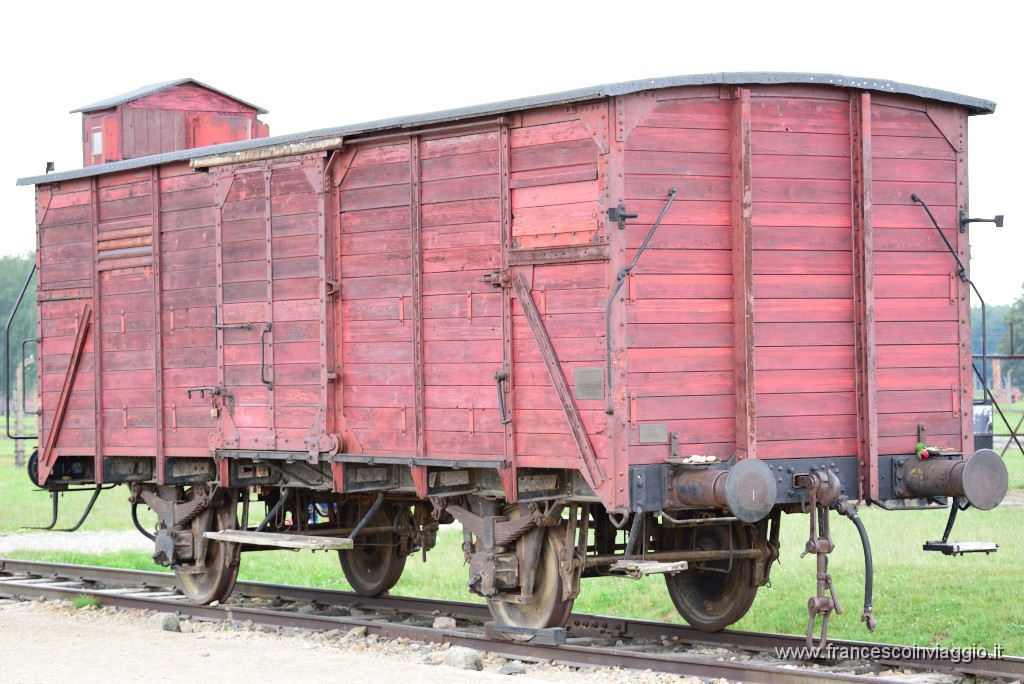 DSC_8538.JPG