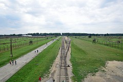 DSC_8622