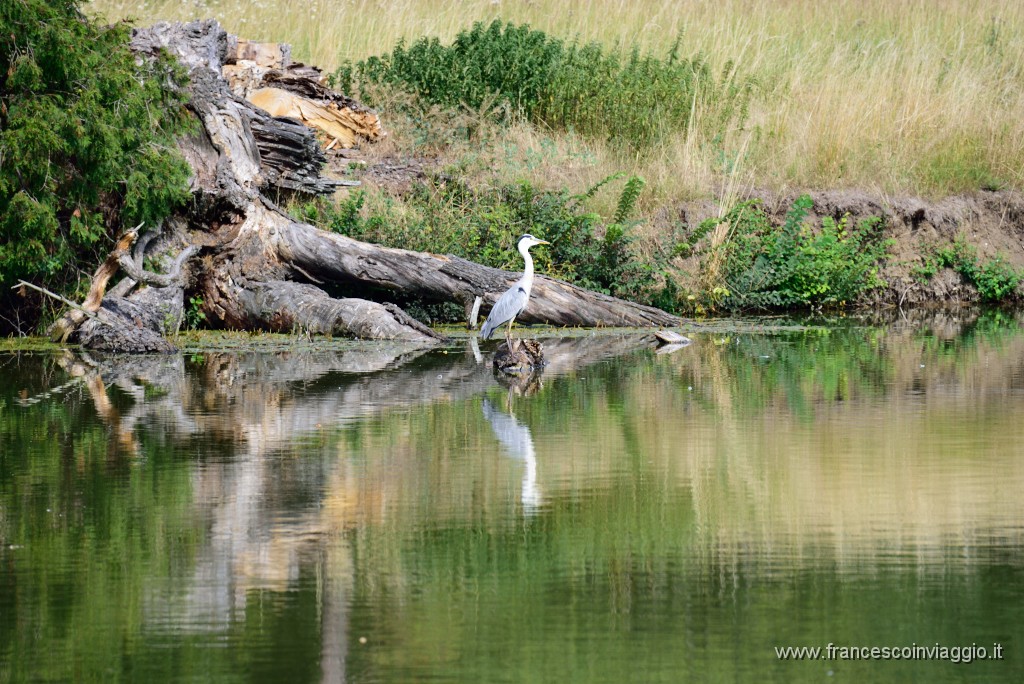 DSC_0027.JPG