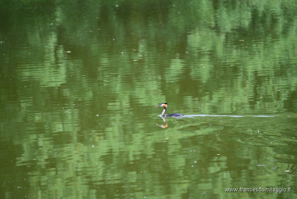 DSC_0029.JPG