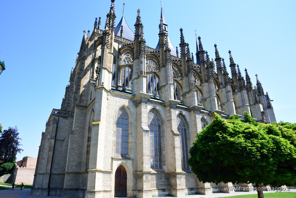 DSC_0230.JPG