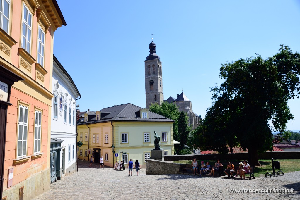 DSC_0248.JPG