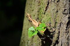 DSC_0035