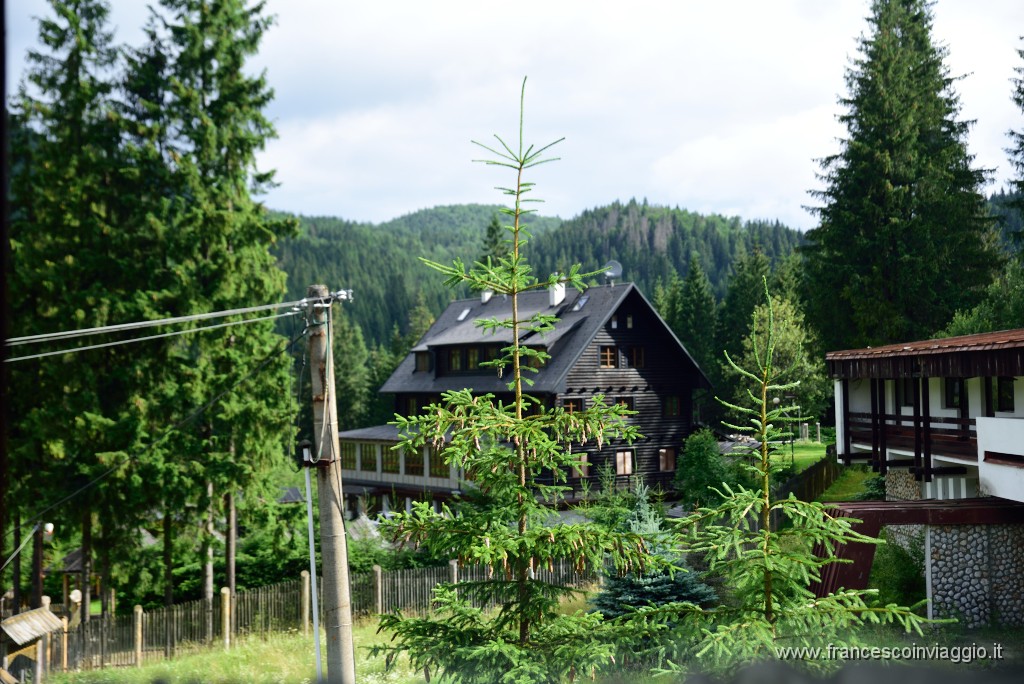 DSC_9064.JPG