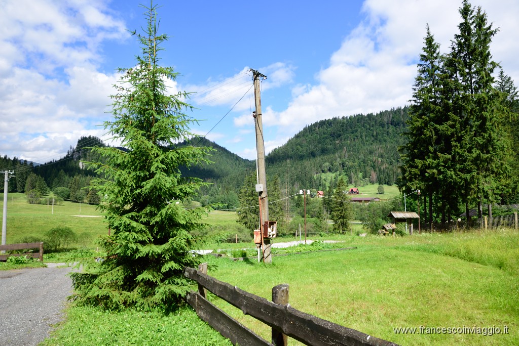 DSC_9068.JPG