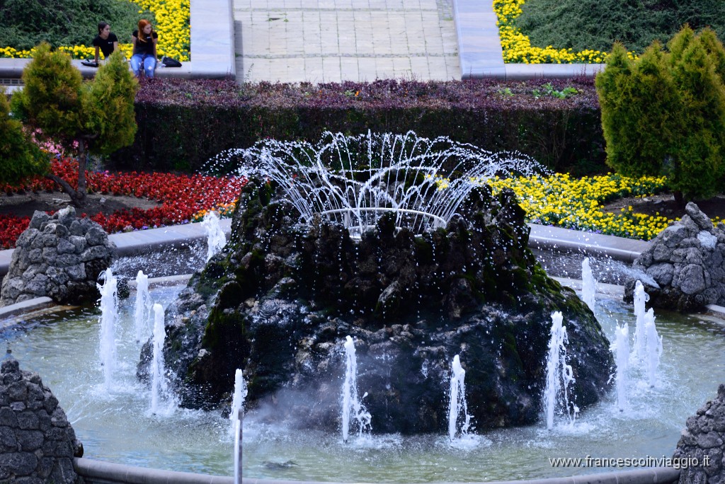 DSC_9164.JPG