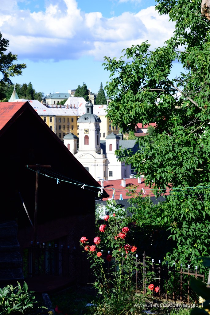 DSC_9295.JPG