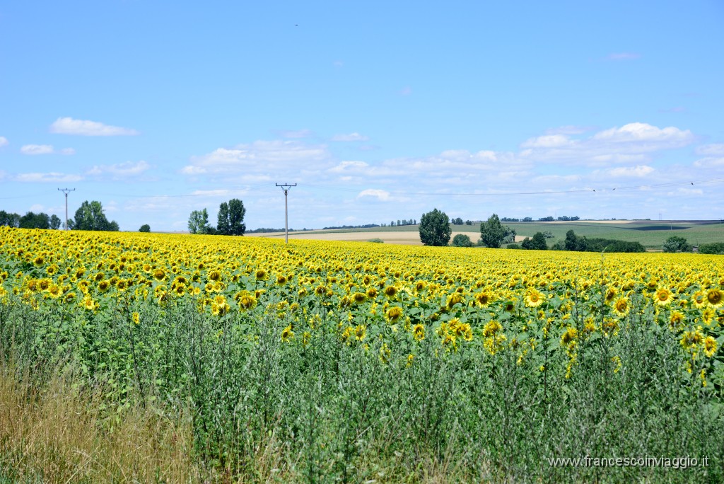 DSC_9347.JPG