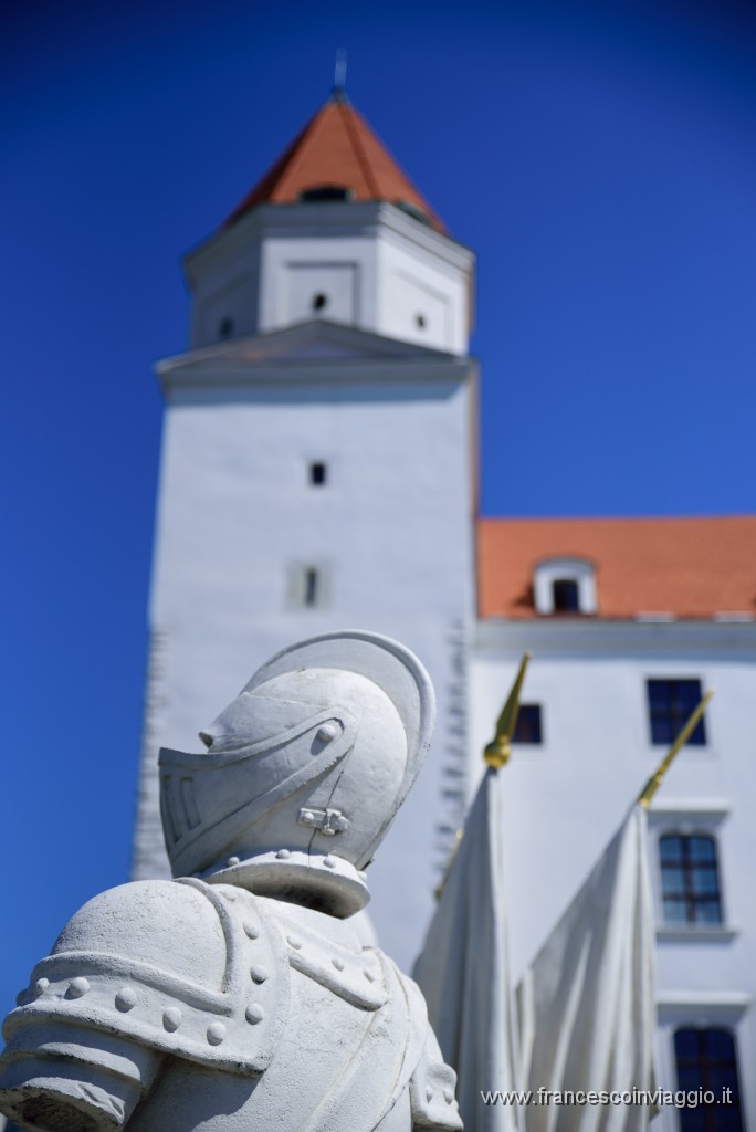 DSC_9584.JPG
