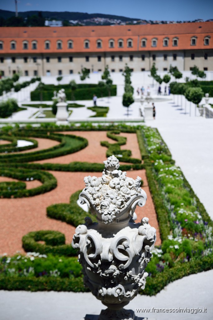 DSC_9645.JPG