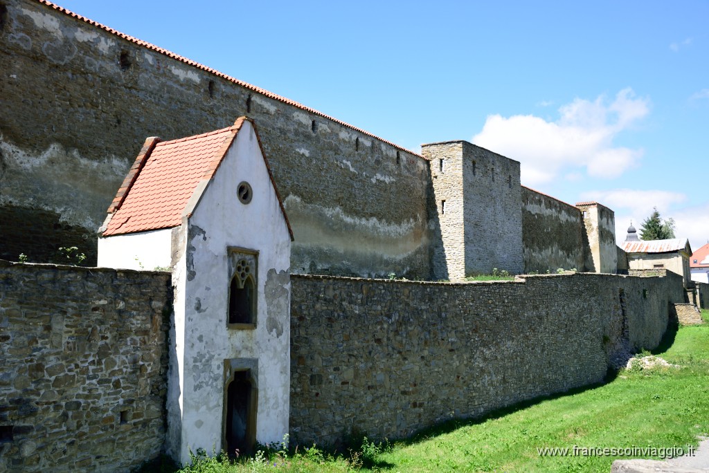 DSC_8849.JPG