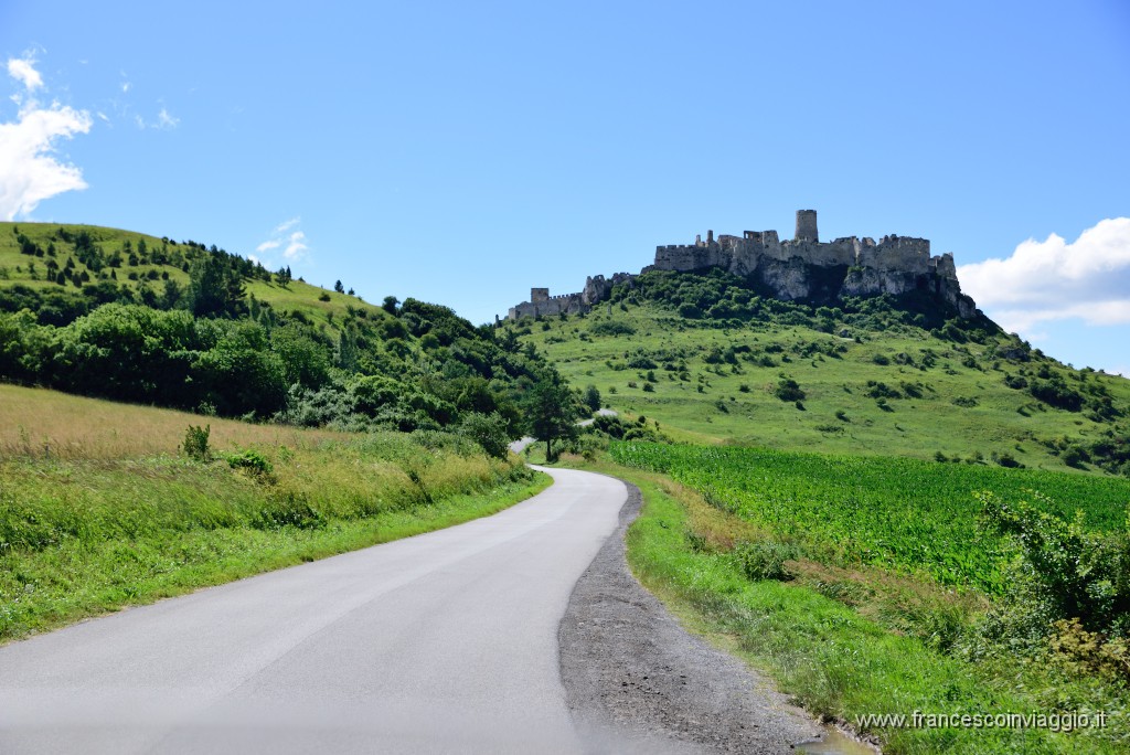 DSC_8866.JPG
