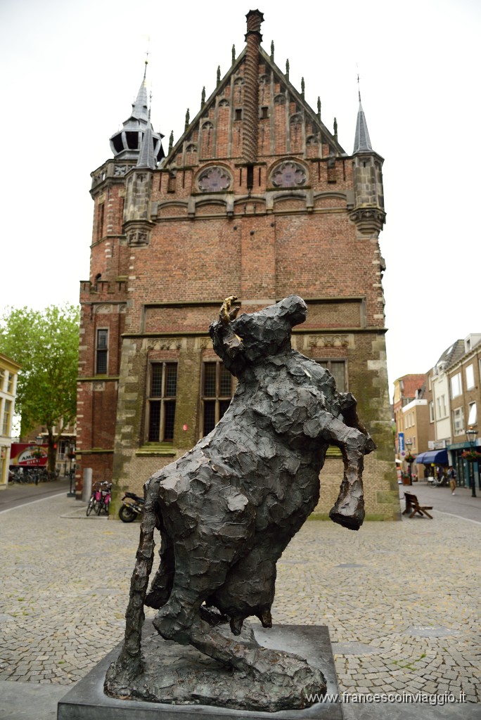 DSC_9754.JPG