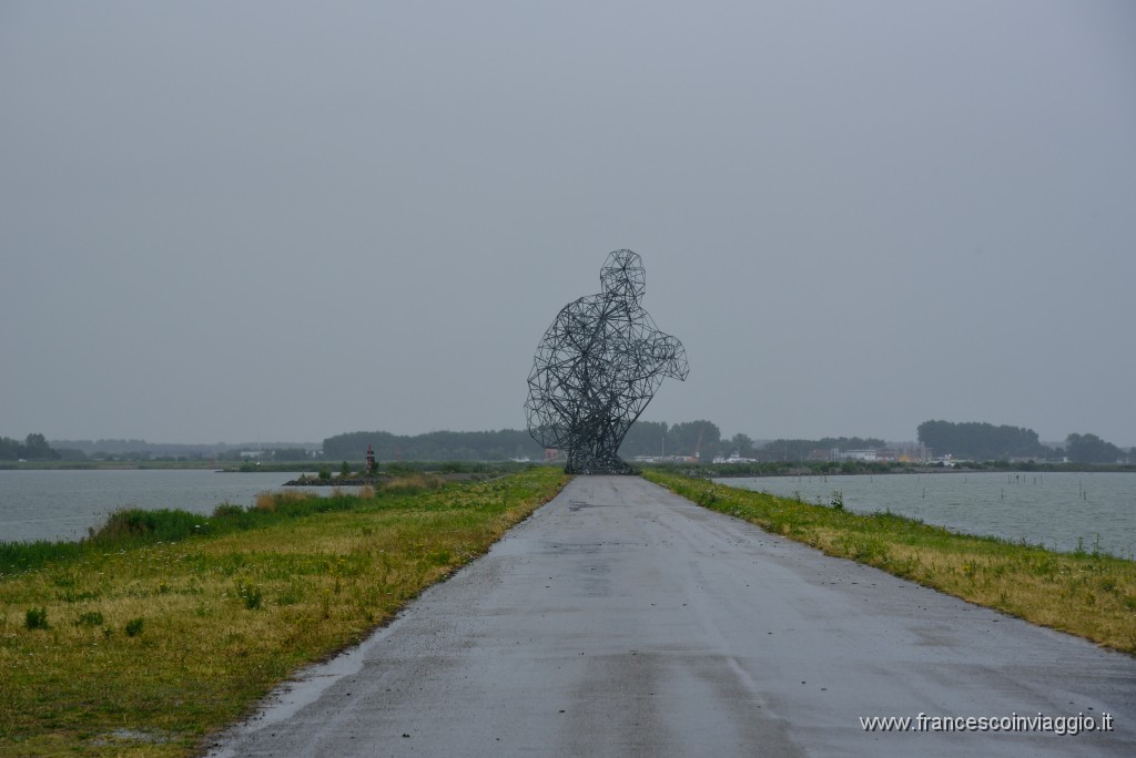 DSC_9795.JPG