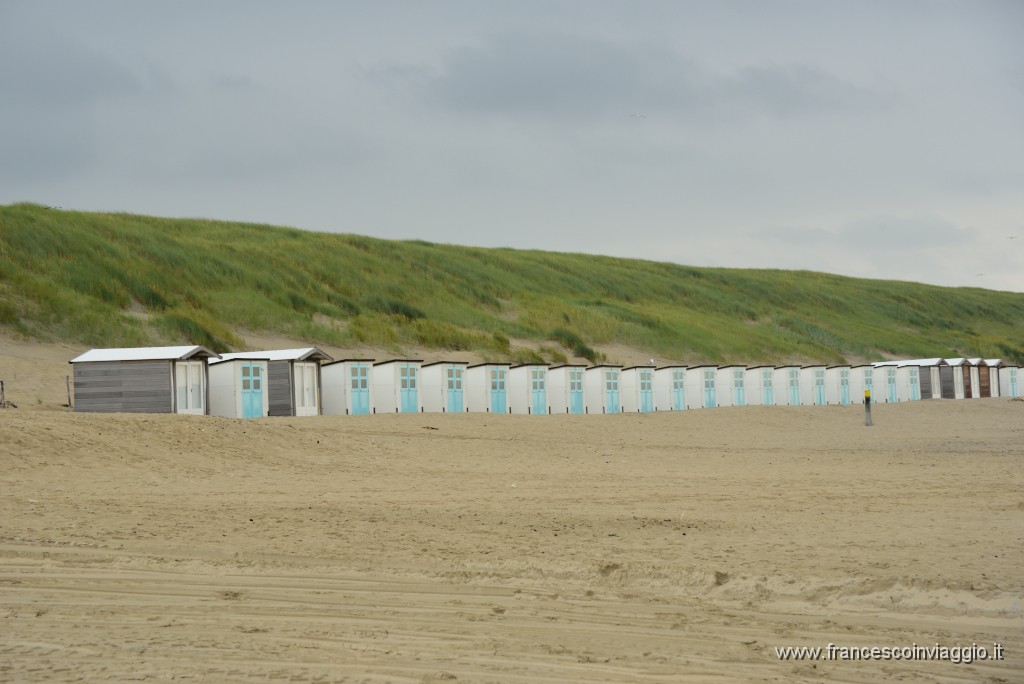 DSC_9830.JPG