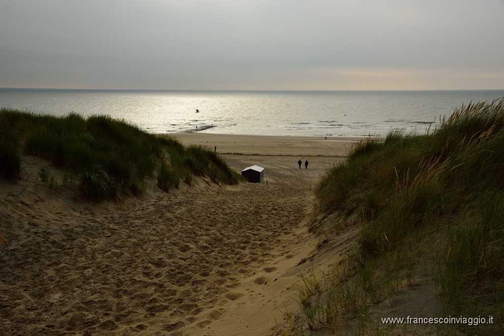 DSC_9865.JPG