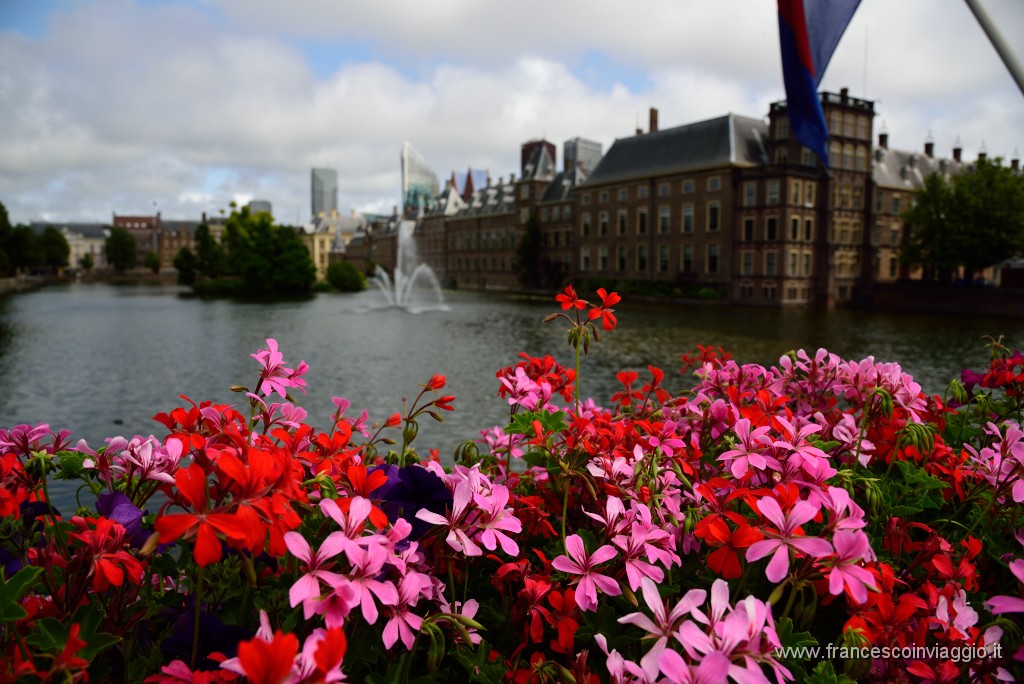 DSC_1239.JPG