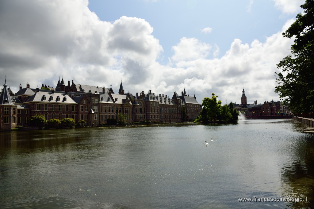 DSC_1324.JPG