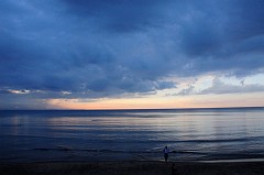 145_DSC6321
