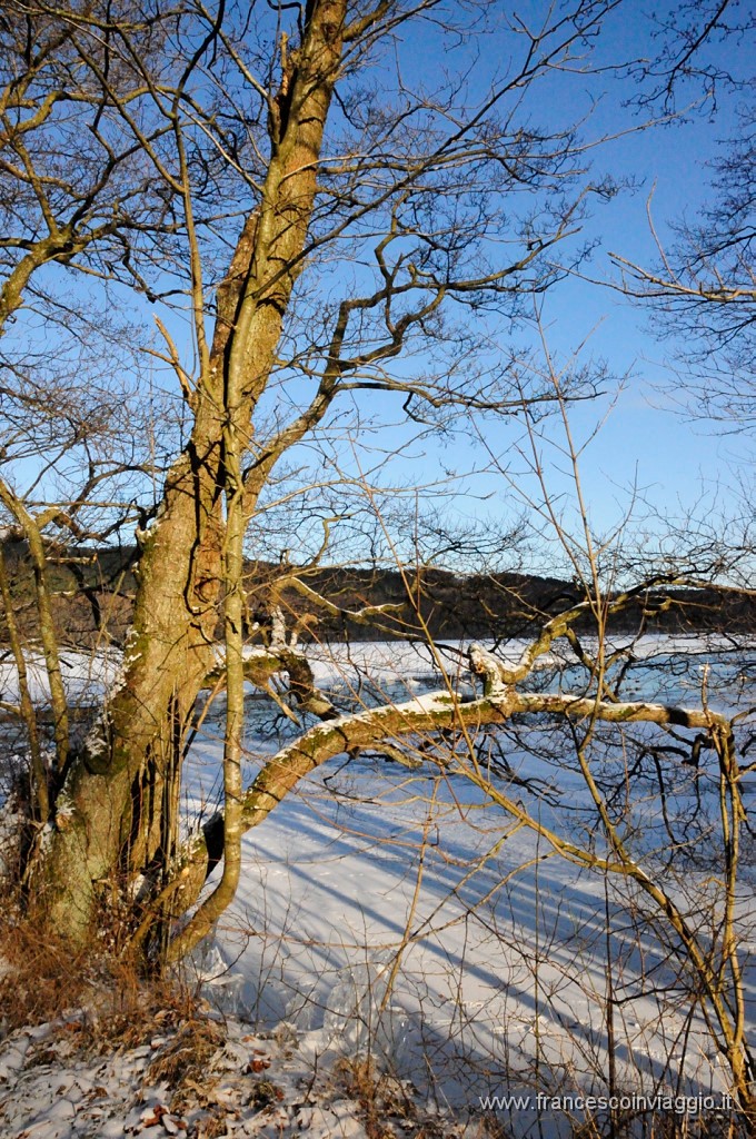 144_DSC9636.JPG