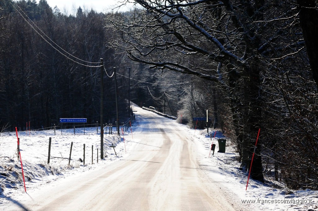 97_DSC9476.JPG