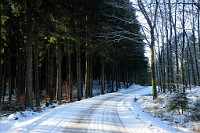 100_DSC9490