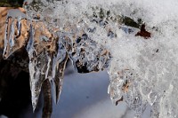 104_DSC9504