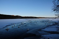 108_DSC9516