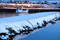 10_DSC9293