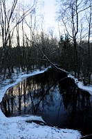 112_DSC9525