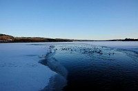116_DSC9536